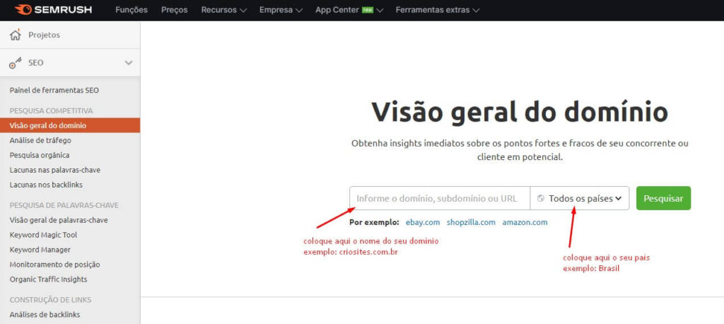 Como ver a posição do meu site no Google através do semrush